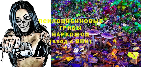 крисы Наволоки