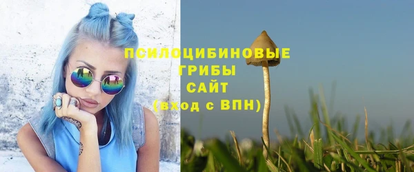 крисы Наволоки