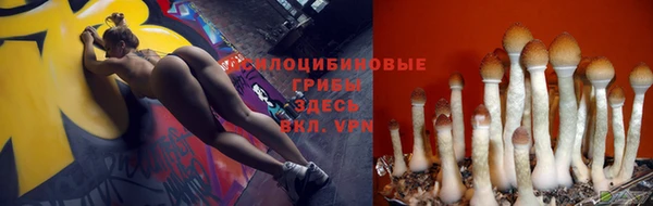 крисы Наволоки