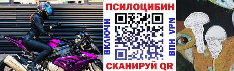 Галлюциногенные грибы Psilocybe  omg как зайти  Заволжье 