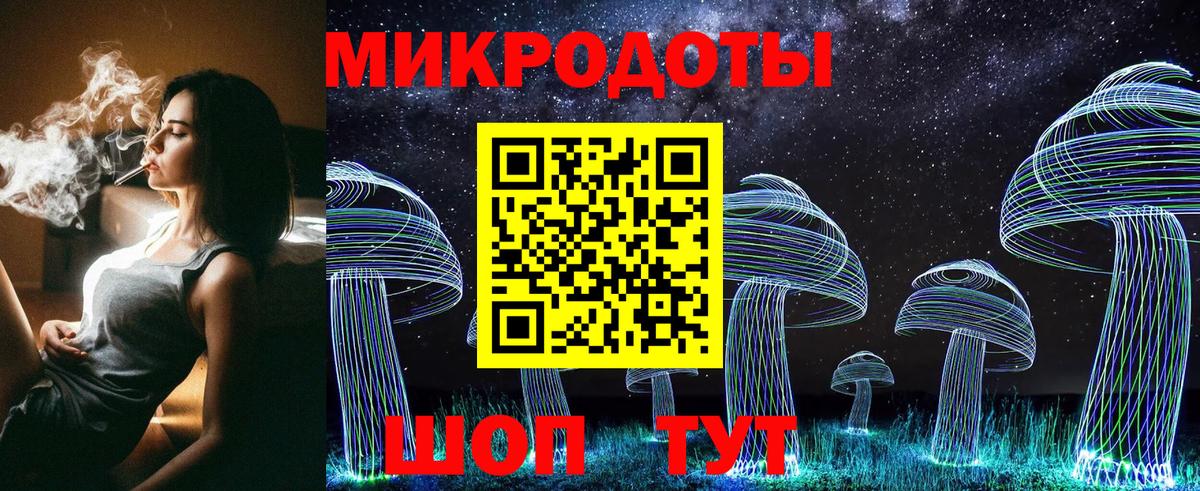 Псилоцибиновые грибы Psilocybine cubensis Заволжье