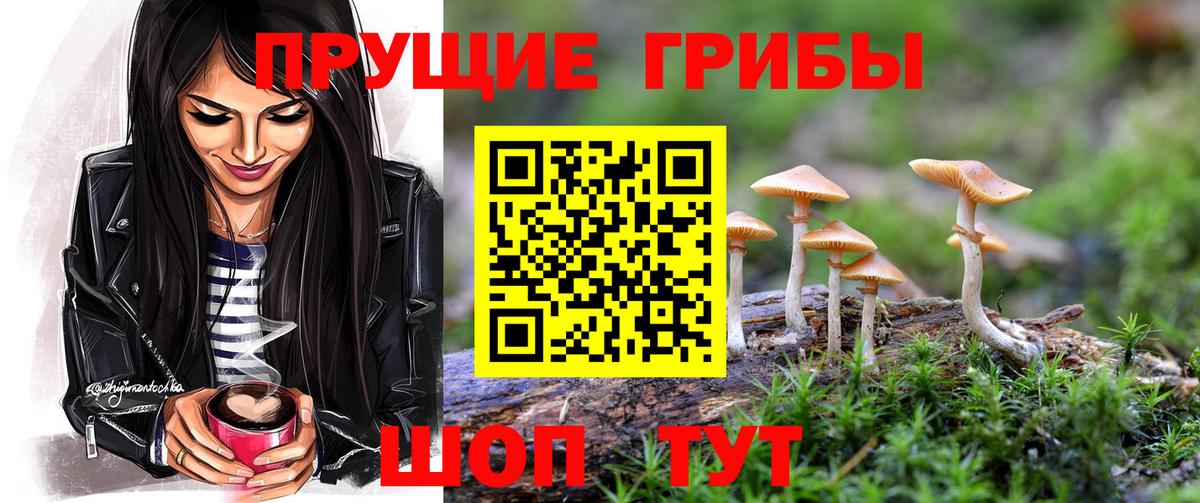 Псилоцибиновые грибы ЛСД  Заволжье 
